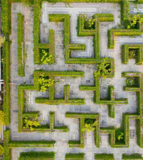 Hedge-Maze